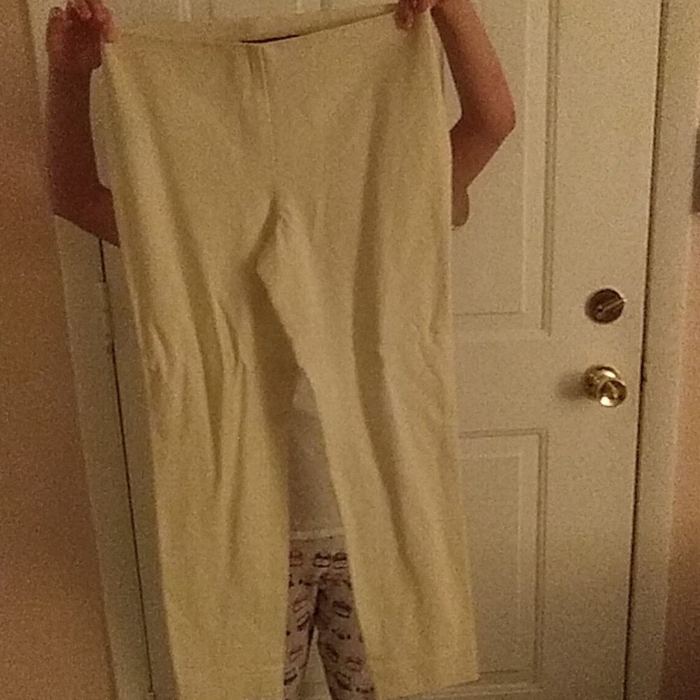 Brand New with tag dress pants